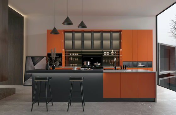 Factory Customized Design Modern Kitchen Cabinets Cuisine and Other Kitchen Furniture Kitchen Islands