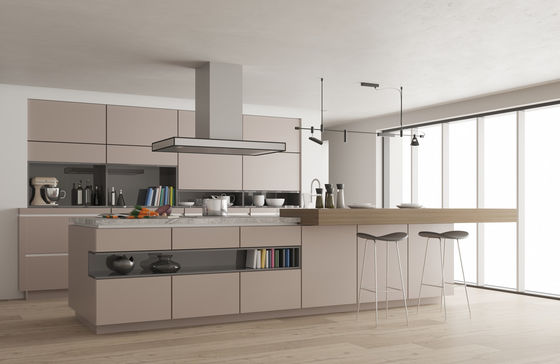 Professional One-Stop Multiple Design Modern Dark Colors Modular Kitchen Furniture Stainless Steel Kitchen Cabinet Sets